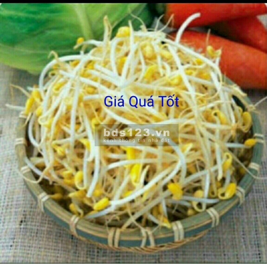 Bán đất Phúc Lợi, Long Biên, phân lô ô tô vào đất diện tích sử dụng 48m2, giá 2.15 tỷ