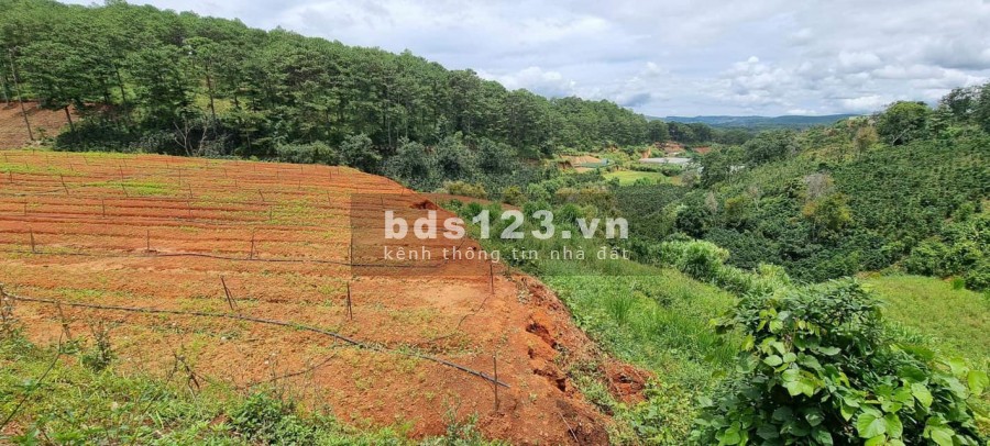 639 triệu sở hữu lô đất diện tích 210m2 cực đẹp ở Gia Lâm, Lâm Hà, liên hệ 0935434534