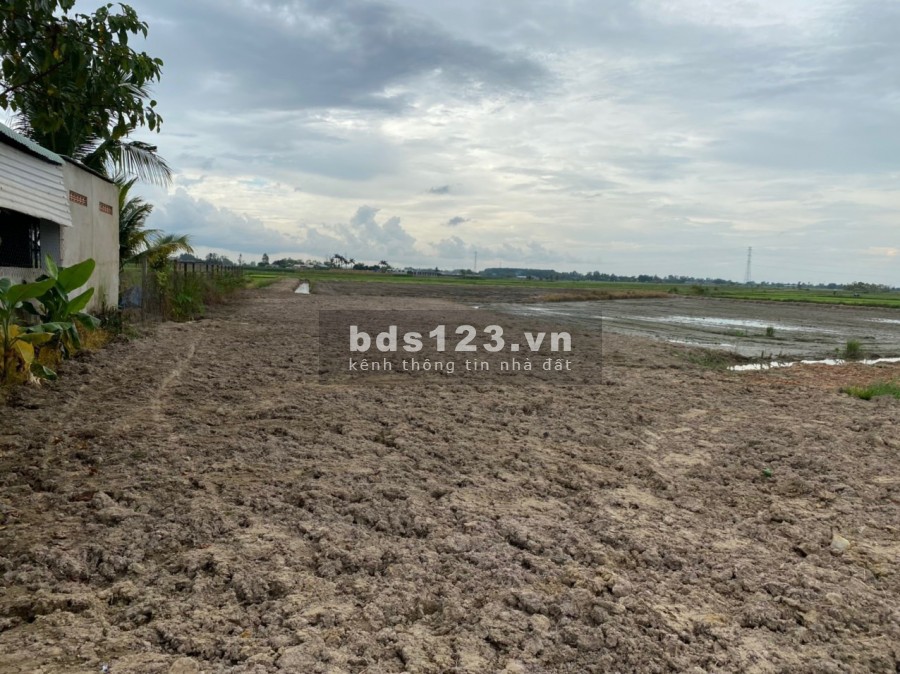 Cần bán 1ha mặt tiền Tỉnh Lộ 7 cách QL22 1,6km đất quy hoạch dân cư toàn bộ