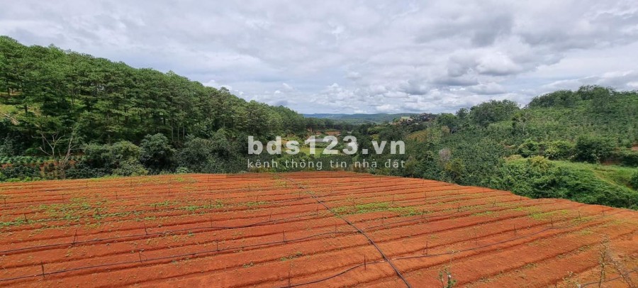 639 triệu sở hữu lô đất diện tích 210m2 cực đẹp ở Gia Lâm, Lâm Hà, liên hệ 0935434534