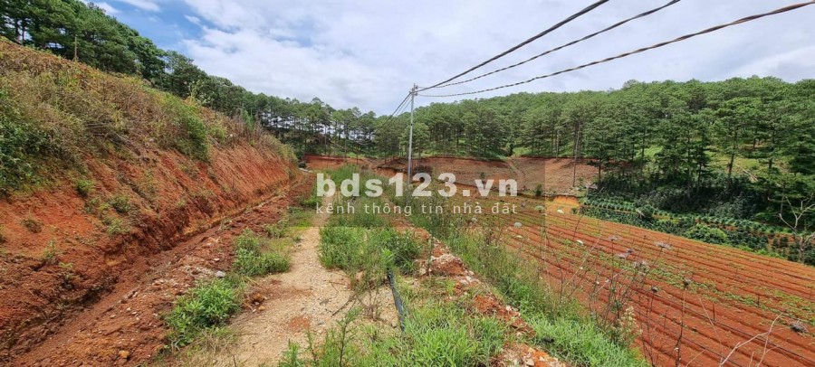 639 triệu sở hữu lô đất diện tích 210m2 cực đẹp ở Gia Lâm, Lâm Hà, liên hệ 0935434534