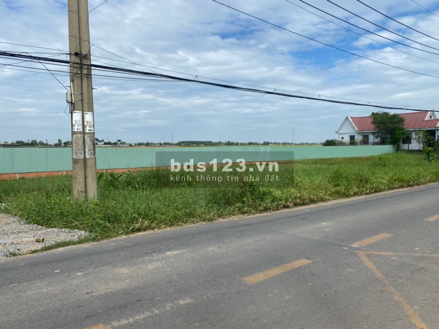 Cần bán 1ha mặt tiền Tỉnh Lộ 7 cách QL22 1,6km đất quy hoạch dân cư toàn bộ