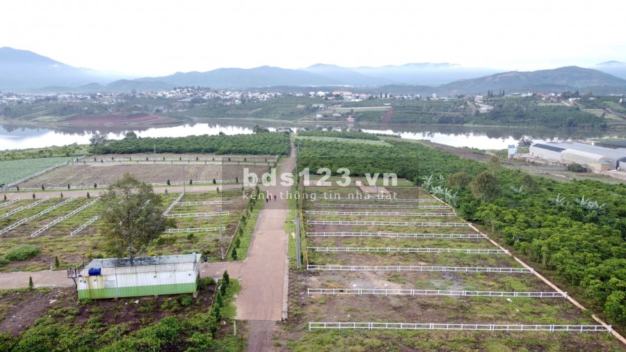 Đất thổ cư ngay mặt hồ Tây Di Linh, đã có sổ, ngân hàng hỗ trợ 70%, vị trí vô cùng đắc địa