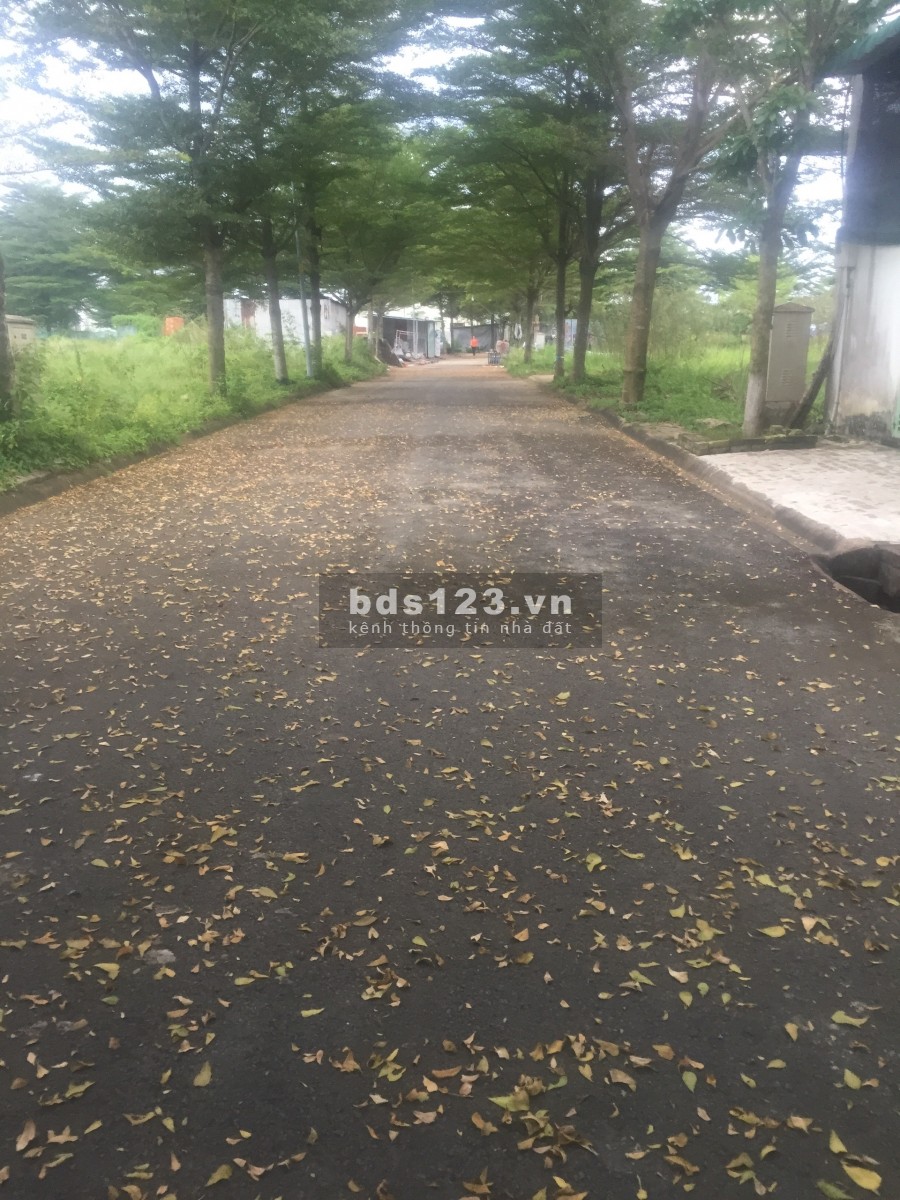 Đất dự án Thời Báo Kinh Tế, đường Bưng Ông Thoàn, phường Phú Hữu, Quận 9, TP. Thủ Đức