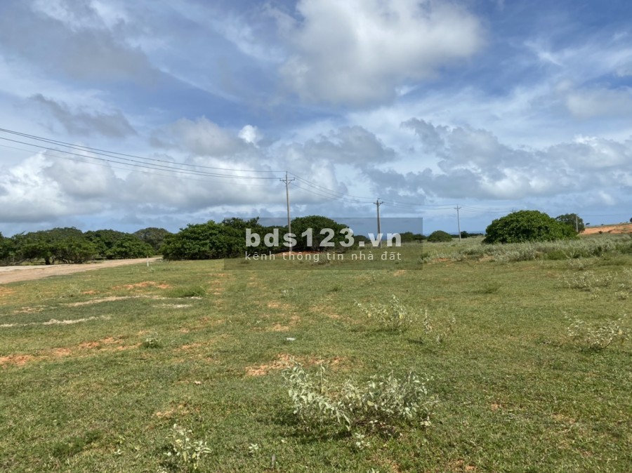 Bán 13,748m2 đất nông nghiệp bình tân 95k/m2 gần liên huyện ra sân bay phan thiết Lh 0938677909