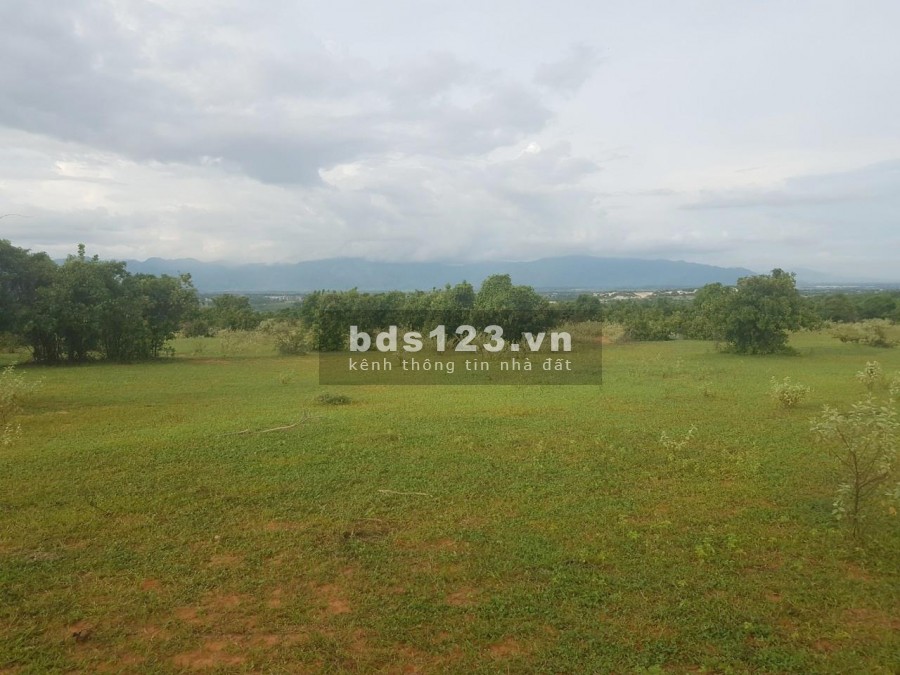 Bán 13,748m2 đất nông nghiệp bình tân 95k/m2 gần liên huyện ra sân bay phan thiết Lh 0938677909