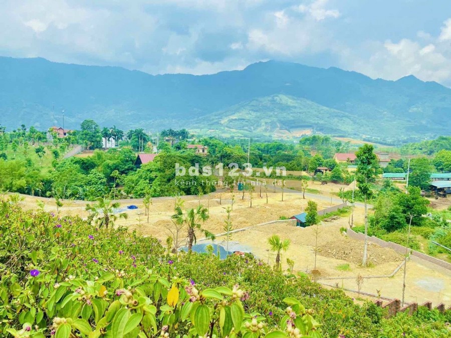 Bán đất nền Bãi Dài, Hòa Lạc - cơ hội sở hữu hàng đẹp giá gốc, tiềm năng tăng giá vượt trội