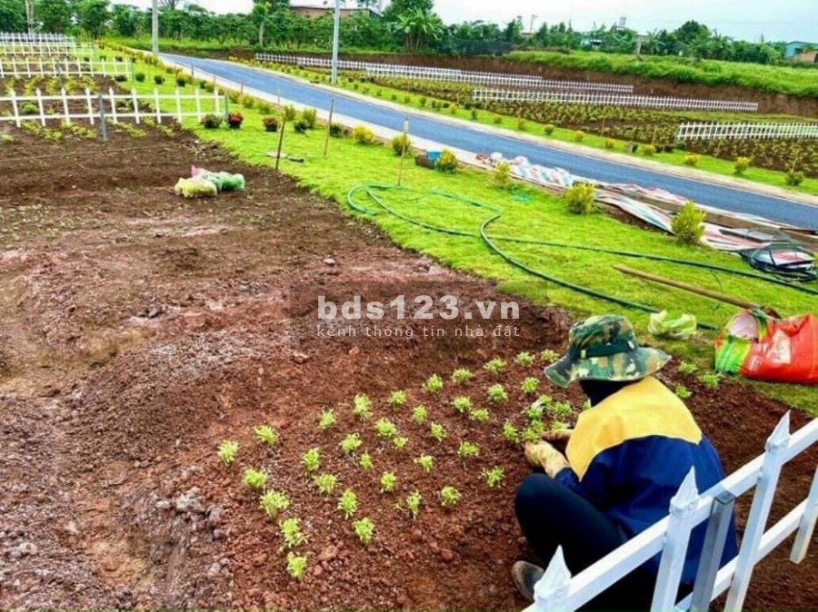 Khu nghỉ dưỡng Ven Hồ Tây Di Linh, sổ sẵn bàn giao ngay, ngân hàng vay vốn tới 80%