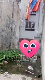 Bán lô đất ở Vân Tra An Đồng An Dương liên hệ xem đất 0964380510, giá bán 990 triệu