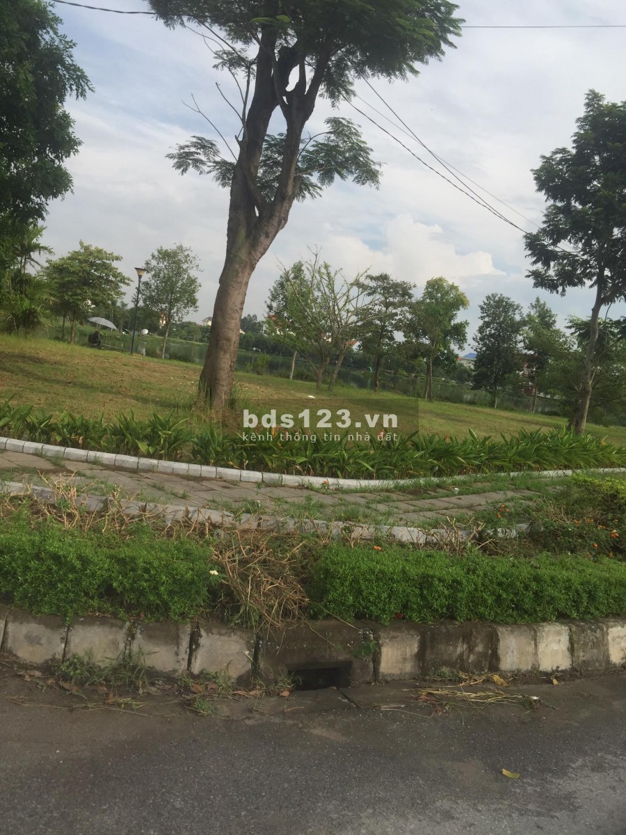 Chủ đầu tư mở bán lô đất bán lô đất A-LK04-15 cực đẹp, giấy tờ pháp lí đầy đủ, lhcc