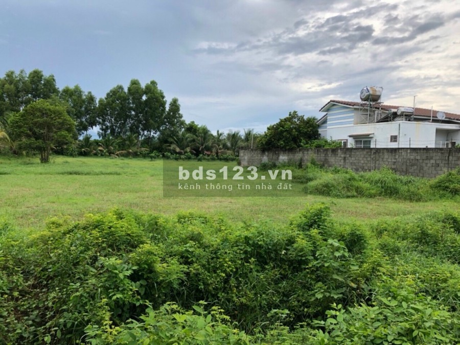 Cần bán đất mặt tiền đường nhựa 1/ Tỉnh Lộ 7 vào 200m diện tích ngang 28m có 600m thổ cư