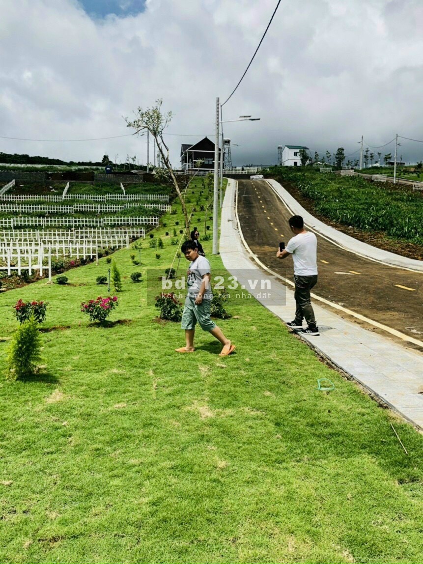 Cần thanh lý gấp lô đất ở Bảo Lộc, giá bán 650 triệu, diện tích 200m2, đất thổ cư