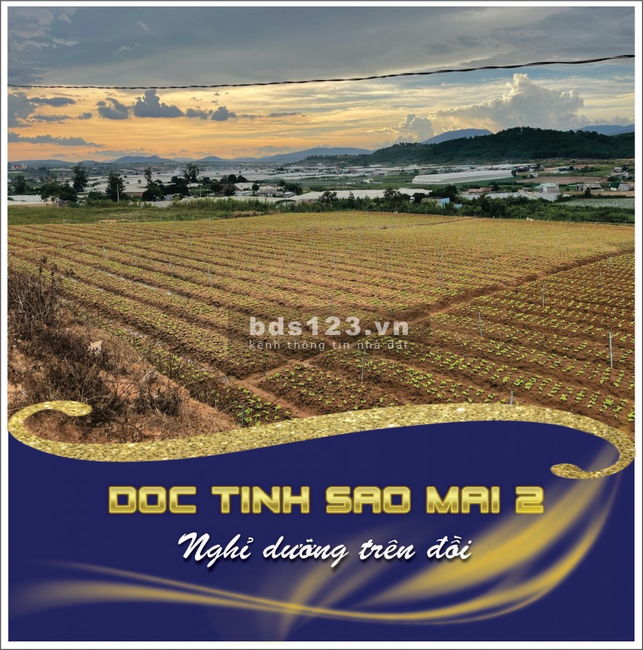Chỉ với 500 triệu bạn đã sở hữu ngay cho mình lô đất với diện tích hơn 500m2, sổ riêng