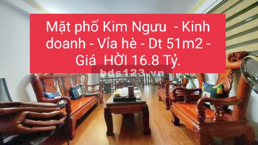 Bán mặt phố Kim Ngưu kinh doanh ngày đêm vỉa hè diện tích 51m2 giá hời 16.8 tỷ