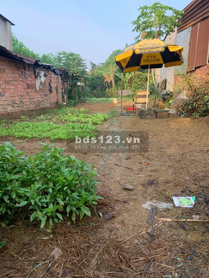 Cần bán gấp lô đất diện tích 240m2, tại Đinh Quang Ân, sổ sẵn từng nền, bao sang tên công chứng