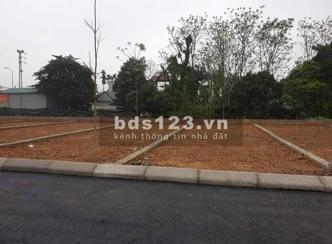 Đất nền Tân Xã Thạch Thất vị trí trung tâm khu công nghiệp cao Hòa Lạc, giá 16 triệu/m2