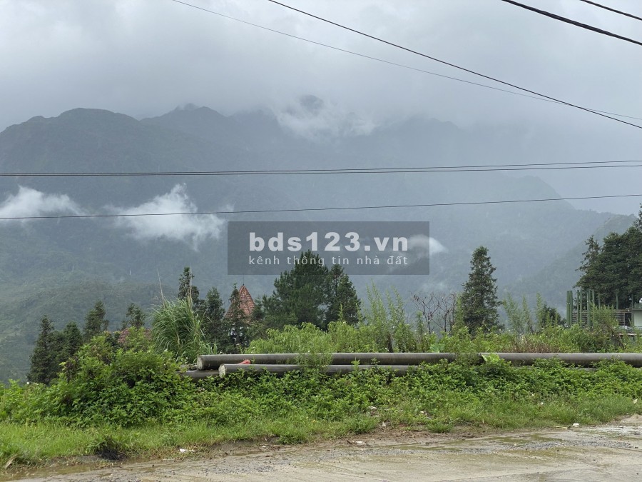 Bán cắt lỗ lô đất diện tích sử dụng 2300m2 đường Violet Sa Pa, view đỉnh Fansipan