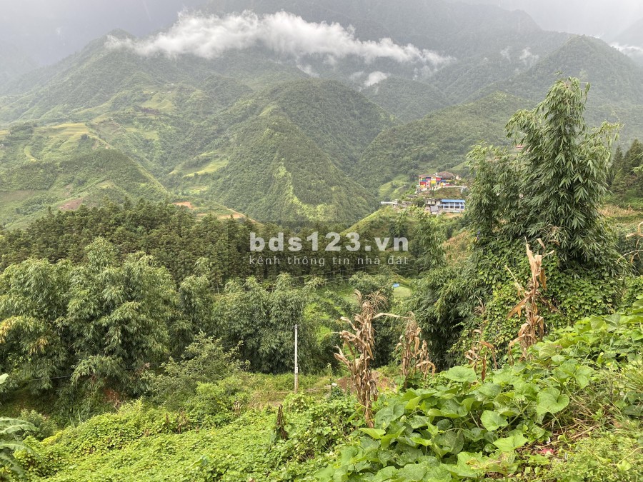 Bán cắt lỗ lô đất diện tích sử dụng 2300m2 đường Violet Sa Pa, view đỉnh Fansipan