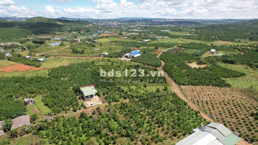 Còn duy nhất đất vườn hẻm đường Đinh Công Tráng nở hậu giá thoả thuận, sổ sẵn