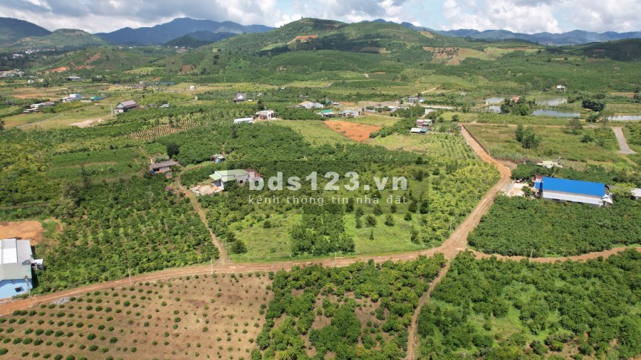 Còn duy nhất đất vườn hẻm đường Đinh Công Tráng nở hậu giá thoả thuận, sổ sẵn