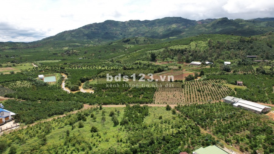 Còn duy nhất đất vườn hẻm đường Đinh Công Tráng nở hậu giá thoả thuận, sổ sẵn