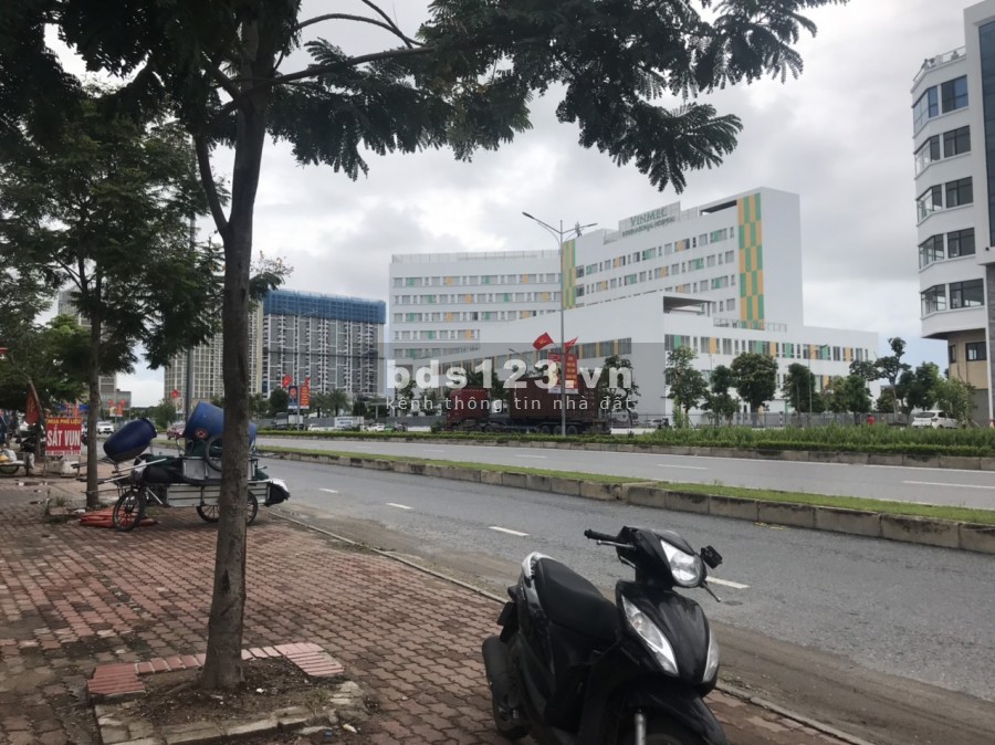 Bán lô đất mặt đường Bùi Viện, đối diện bệnh viện Vinmec Hải Phòng, giá 61.5 triệu/m2