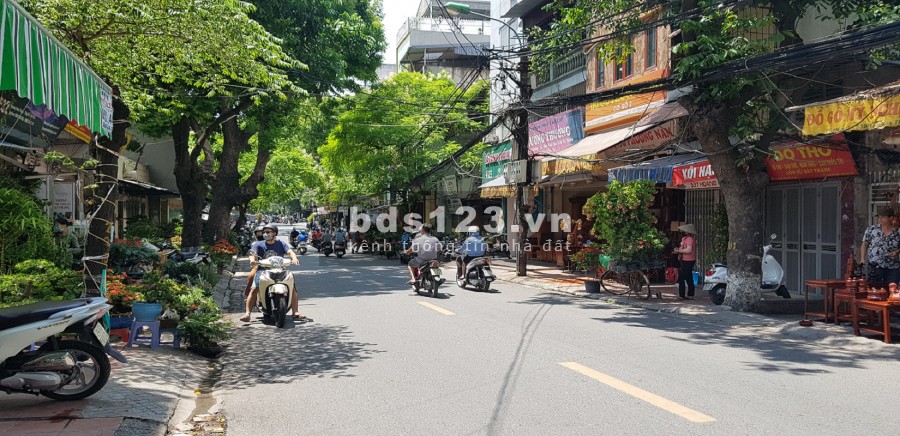 Mặt phố Hoàng Hoa Thám, Ba Đình, vỉa hè, ô tô, Kinh doanh diện tích 115m2 mặt tiền 6.5 giá 20 tỷ