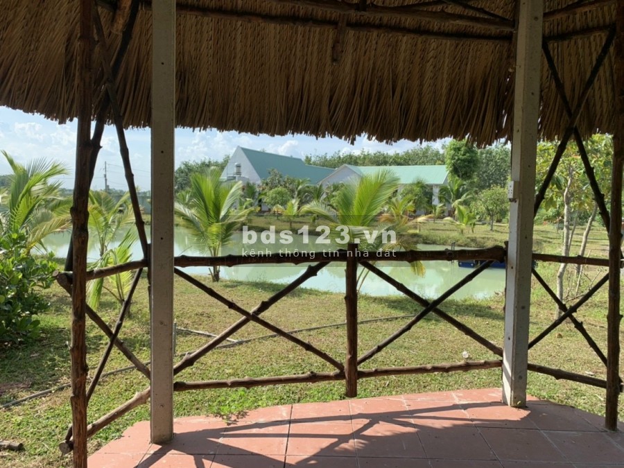 Cần bán nhà vườn nghĩ dưỡng xã Trung Lập Hạ 1/ tỉnh lộ 2 diện tích 7000m2