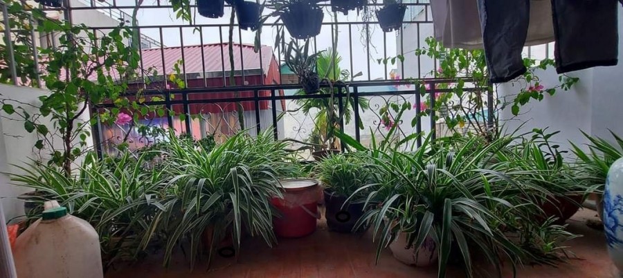 Cần bán nhà phố Cầu Diễn nhà đẹp 5 tầng dt 38m2 giá bán 2 tỷ, dt 20m ô tô đỗ rẻ giật mình