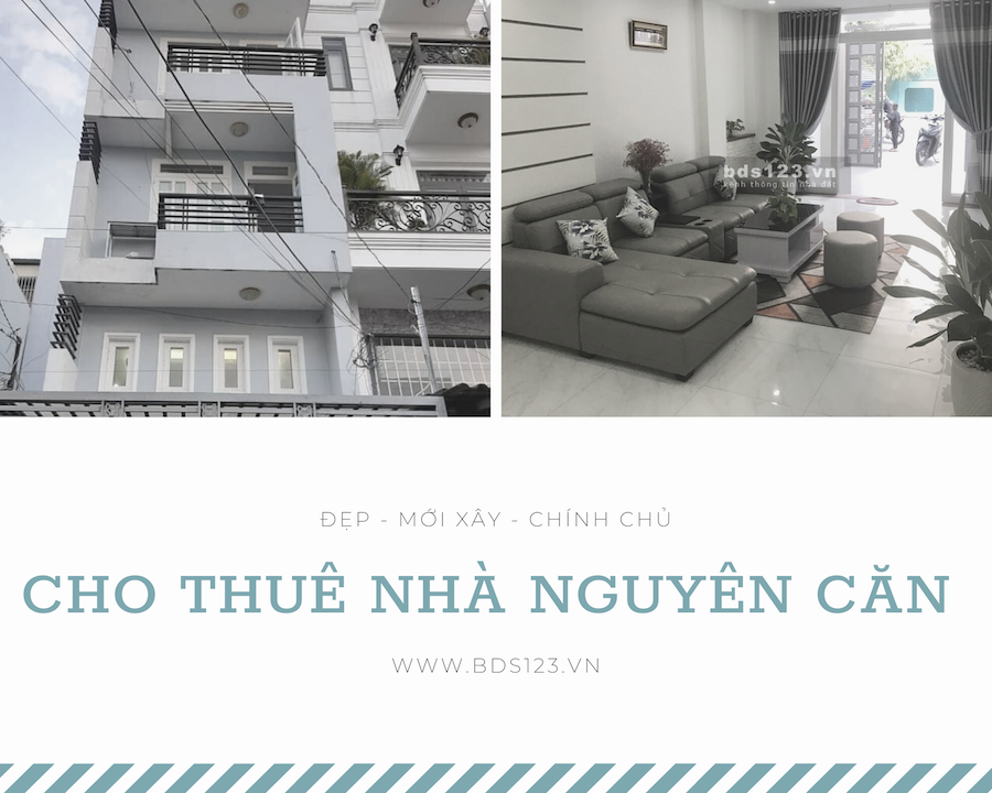 Cho thuê nhà nguyên căn Tp Hồ Chí Minh Cho thuê nhà nguyên căn Tp Hồ Chí Minh