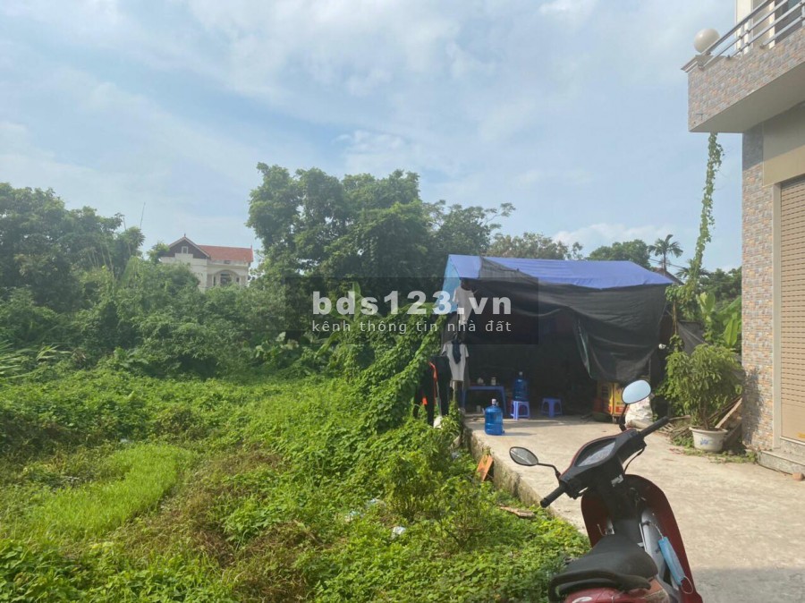 Chính chủ cần thanh khoản đất diện tích 86m2 Hành Lạc, thị trấn Như Quỳnh đất ở đô thị