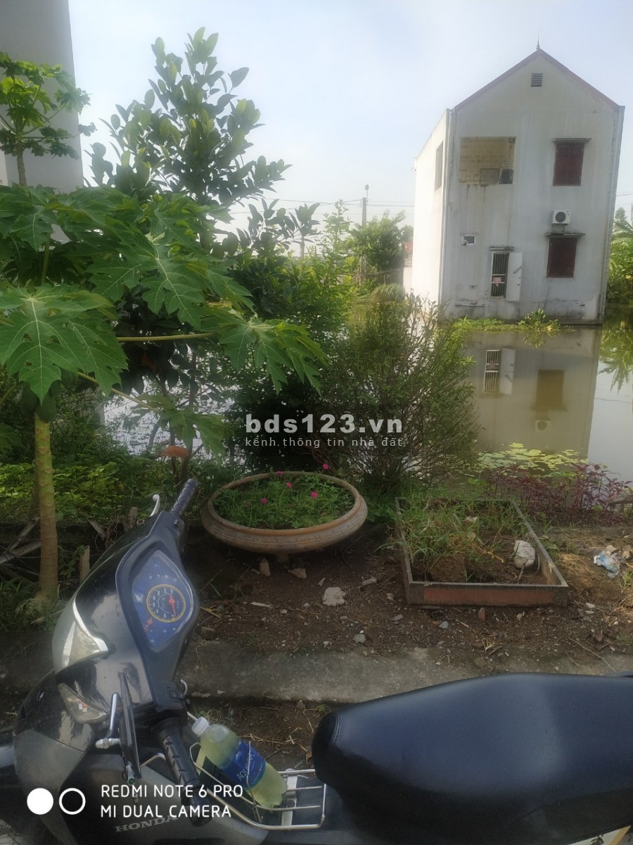 Cần bán đất phân lô Ninh Tiến, phía Đông Trục Xã cần bán nhanh, liên hệ xem đất 0985828093