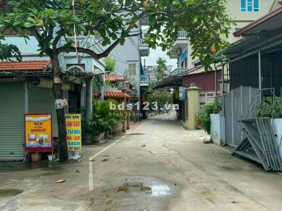 Bán đất Cổ Bi, Gia Lâm diên tích sử dụng 66m2 mặt tiền 4.5m ô tô 7 chỗ vào nhà giá đầu tư