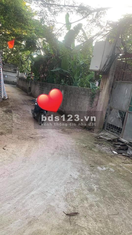 Bán đất Cổ Bi, Gia Lâm diên tích sử dụng 66m2 mặt tiền 4.5m ô tô 7 chỗ vào nhà giá đầu tư