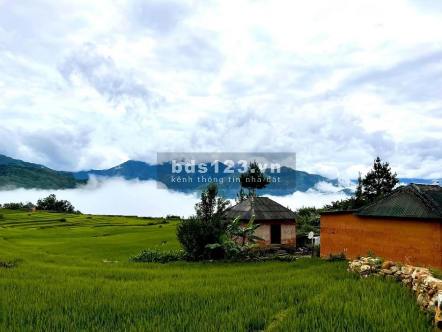 Đất Y Tý-SAPA 2 khu vực đang được tìm kiếm nhiều nhất hiện nay, giá thoả thuận