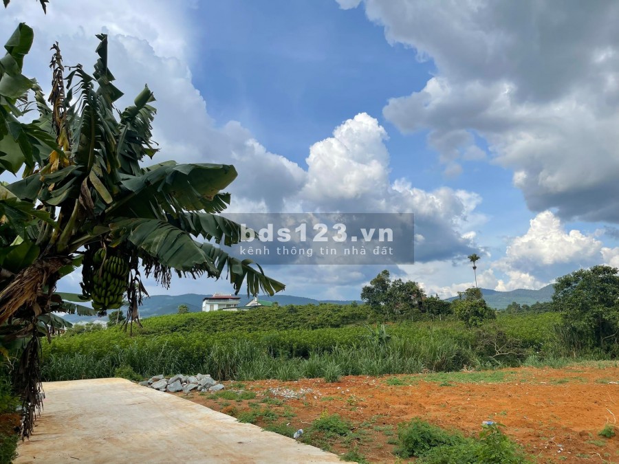 Bán lô đất view đồi 220 m2 Giá 580 Triệu Đông Thanh, Lâm Hà, Cách Đà Lạt 21km