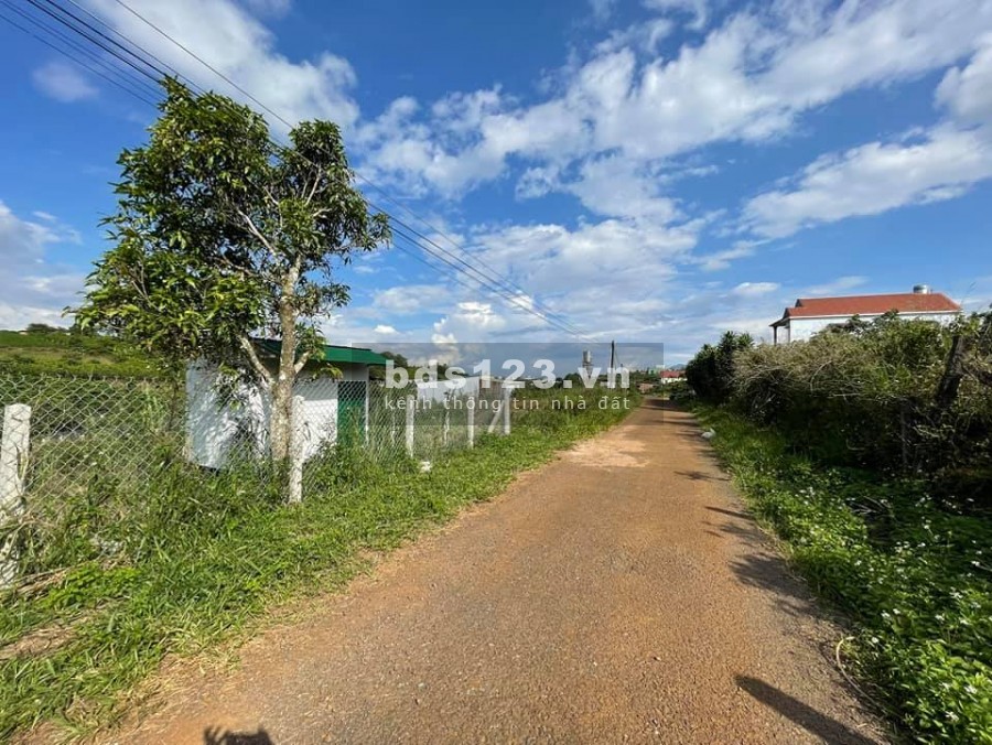 Bán lô đất view đồi 220 m2 Giá 580 Triệu Đông Thanh, Lâm Hà, Cách Đà Lạt 21km
