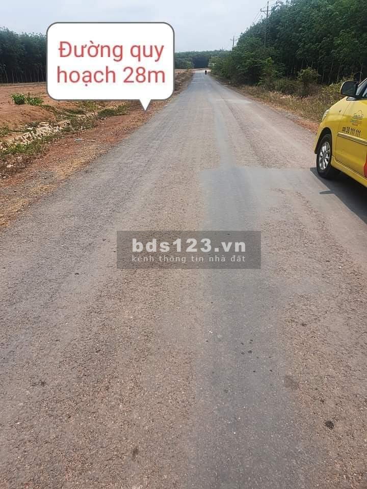 Đất nền có sổ đằng sau coopmart Đồng Phú liền kề Khu Công nghiệp Cnc Becamex 6300 ha
