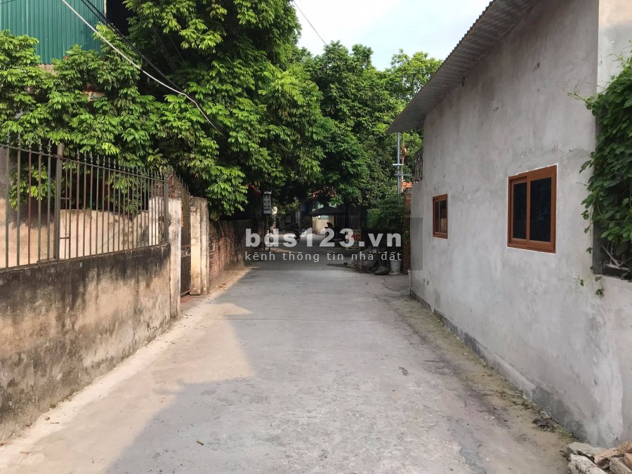 Sản Phẩm Hot Trục Chính Kinh Doanh thôn Xanh Tý, xã Lạc Đạo, huyện Văn Lâm