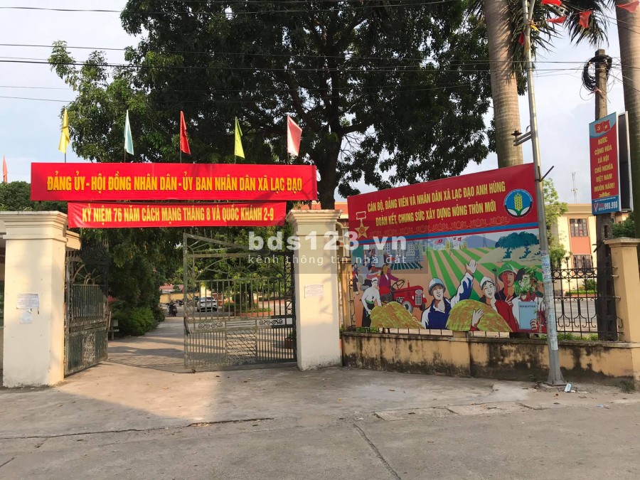 Sản Phẩm Hot Trục Chính Kinh Doanh thôn Xanh Tý, xã Lạc Đạo, huyện Văn Lâm