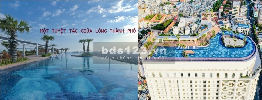 Chính chủ bán gấp căn hộ 2 PN Terra Royal Q3 72m2, giá 6,35 tỷ. Liên hệ PKD Chủ đầu tư 0902442018