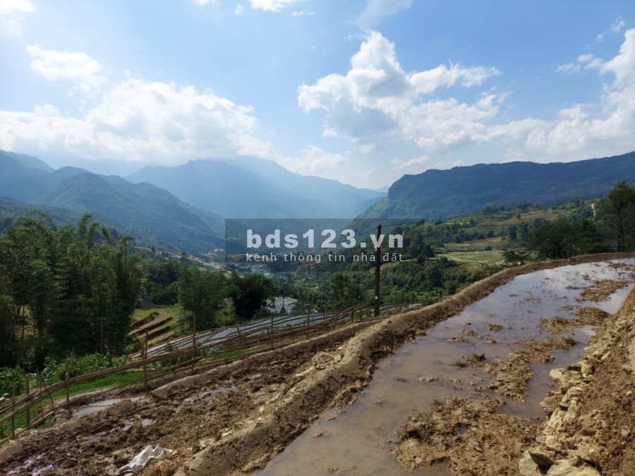 Mở bán lô đất nền nghỉ dưỡng Y Tý( Sa Pa2) view thung lũng, ruộng bậc thang