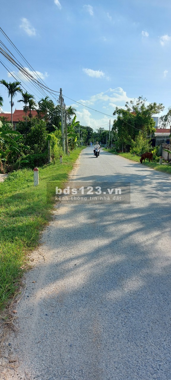 Cần bán đất thổ cư tại Phù Ủng Ân Thi Hưng Yên, liên hệ 0982420026, pháp lí đầy đủ