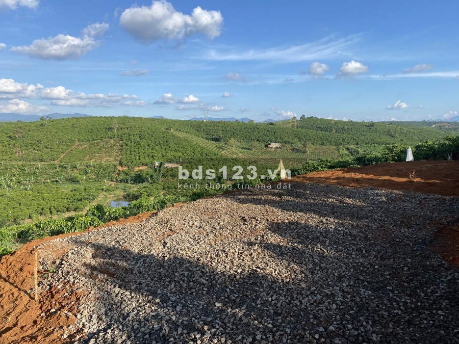Bán mảnh vưởn view đồi có hồ cá xã lộc an huyện Bảo Lâm, giá thoả thuận chính chủ