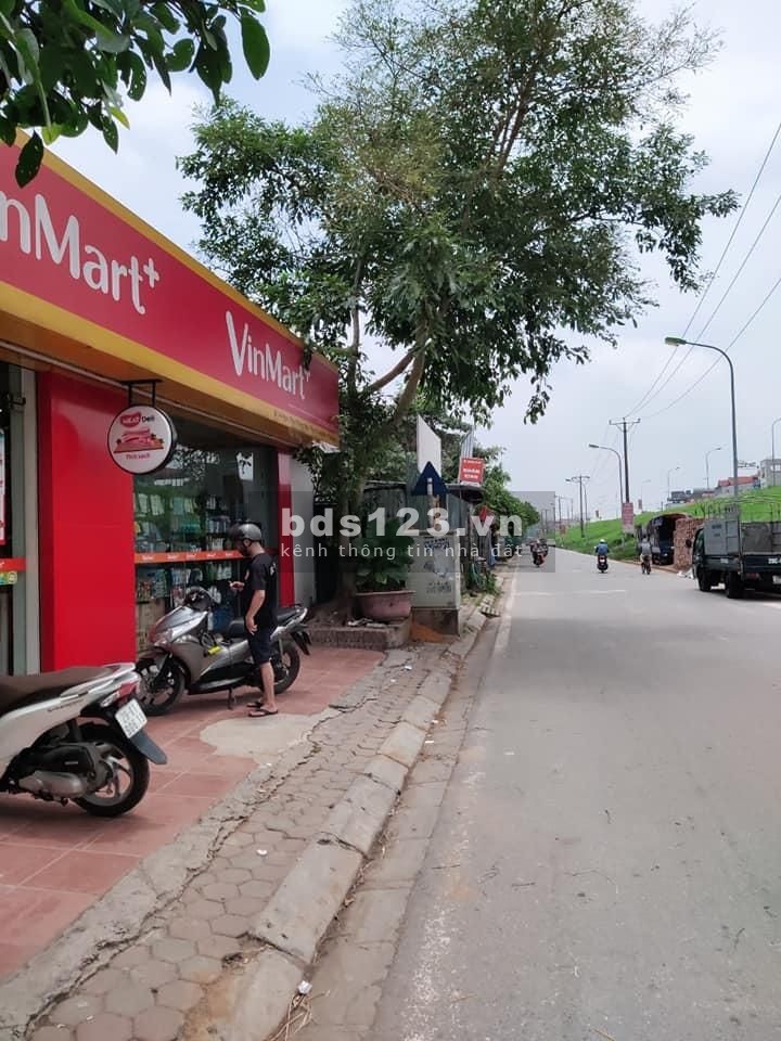 Chủ bán biệt thự sân vườn 140m2, mt 9m Ngọc Thụy, Long Biên, nhỉnh 10 tỷ, lh 0975299567
