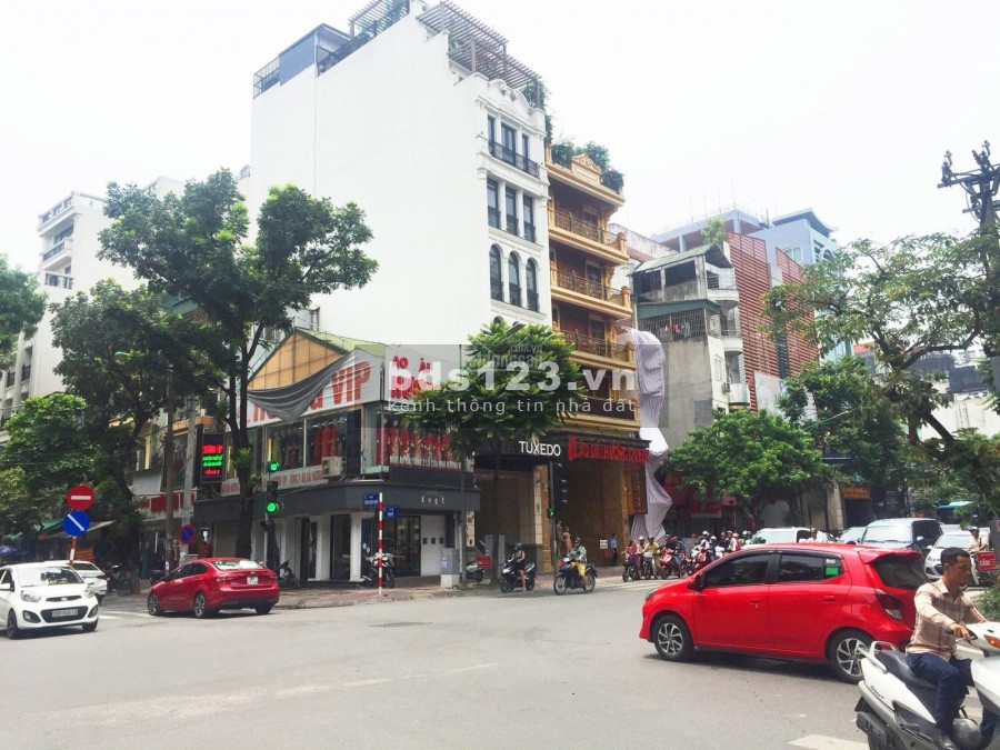 Cần bán gấp nhà đất Mặt Phố Huế 330m2, MT 10m vị trí đắc địa Gà đẻ trứng vàng Giá TL
