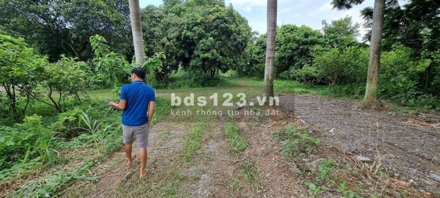 Siêu phẩm 1009m2 có 150m2 thổ cư tại Đồng Sẽ, Nhuận Trạch, Lương Sơn, Hoà Bình