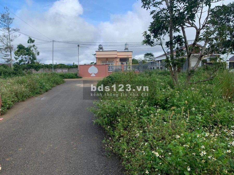 Đất Phố Thanh khoản cao diện tích 186m2, full thổ cư, giá bán 900 triệu, lh 0785153616