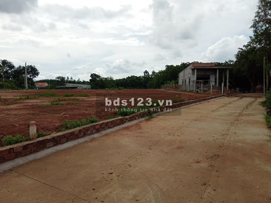 Cần bán lô đất ngay Khu Phố 1 phường Hắc Dịch thị xã Phú Mỹ Bà Rịa Vũng Tàu, giá đầu tư