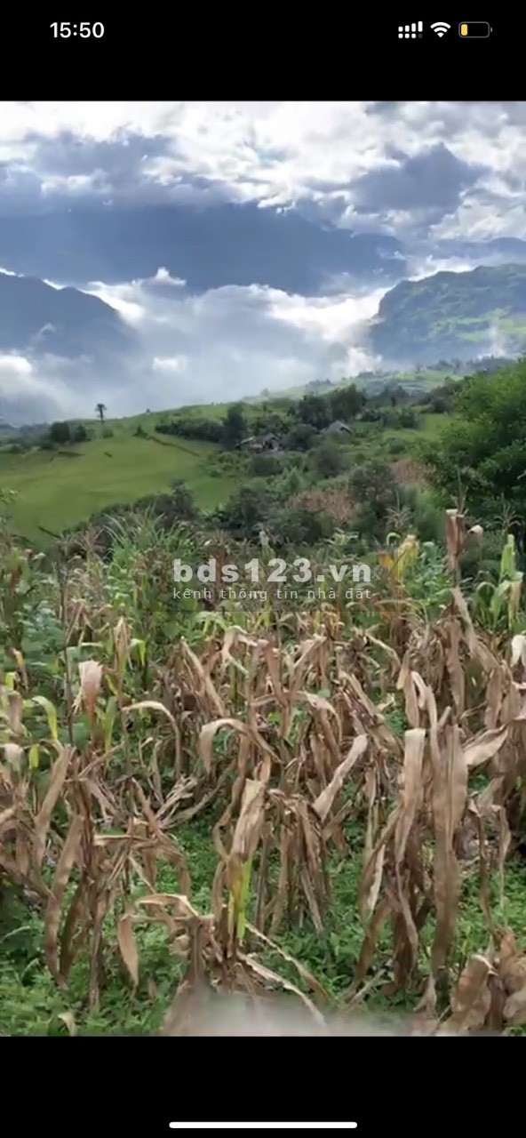 Lô đất Y Tý(Sapa2) hàng hiếm- 4000m view nhìn xuống cả xã liên hệ 0822356688